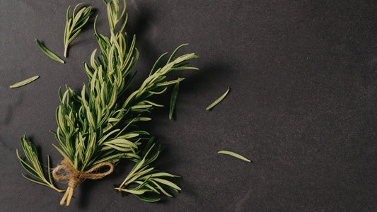 Romarin bienfaits cosmétiques : ce que la science révèle vraiment