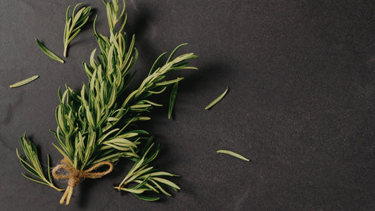 Romarin bienfaits cosmétiques : ce que la science révèle vraiment