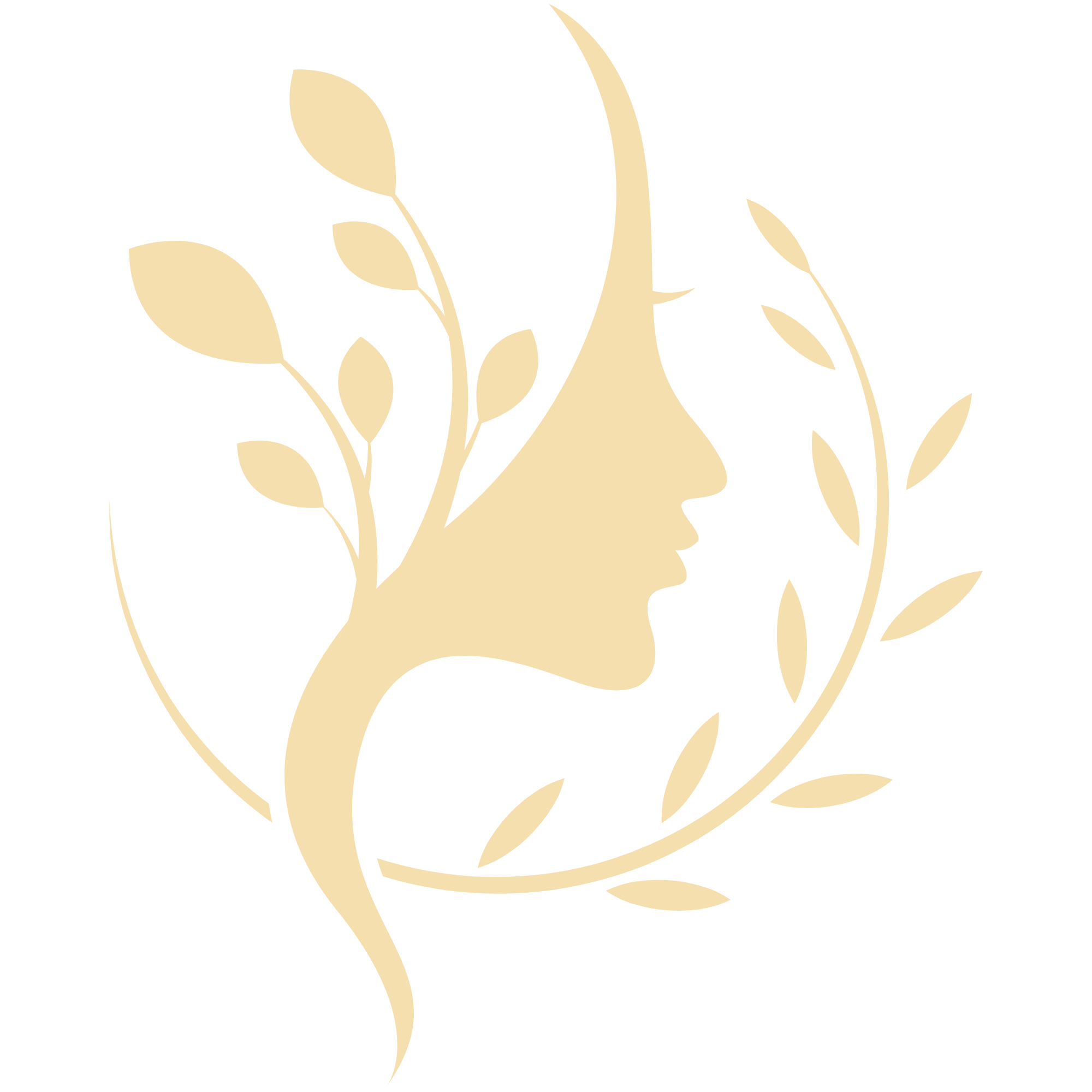 Illustration d'un profil de femme stylisé avec des feuilles d'argan, représentant le soutien aux coopératives féminines au Maroc.
