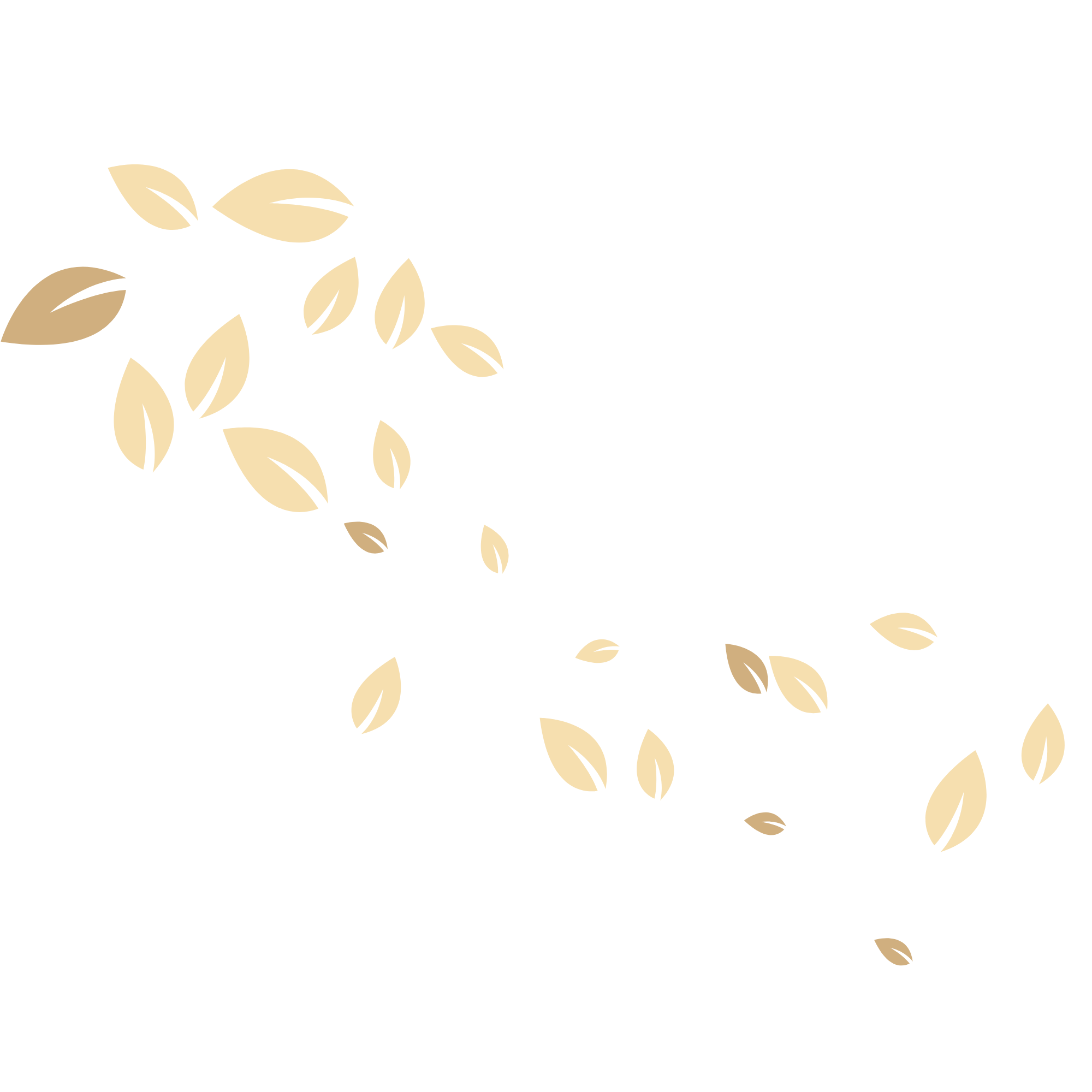 Motif de feuilles légères en mouvement, illustrant la douceur et la pureté des soins cosmétiques respectueux de la peau et des cheveux.