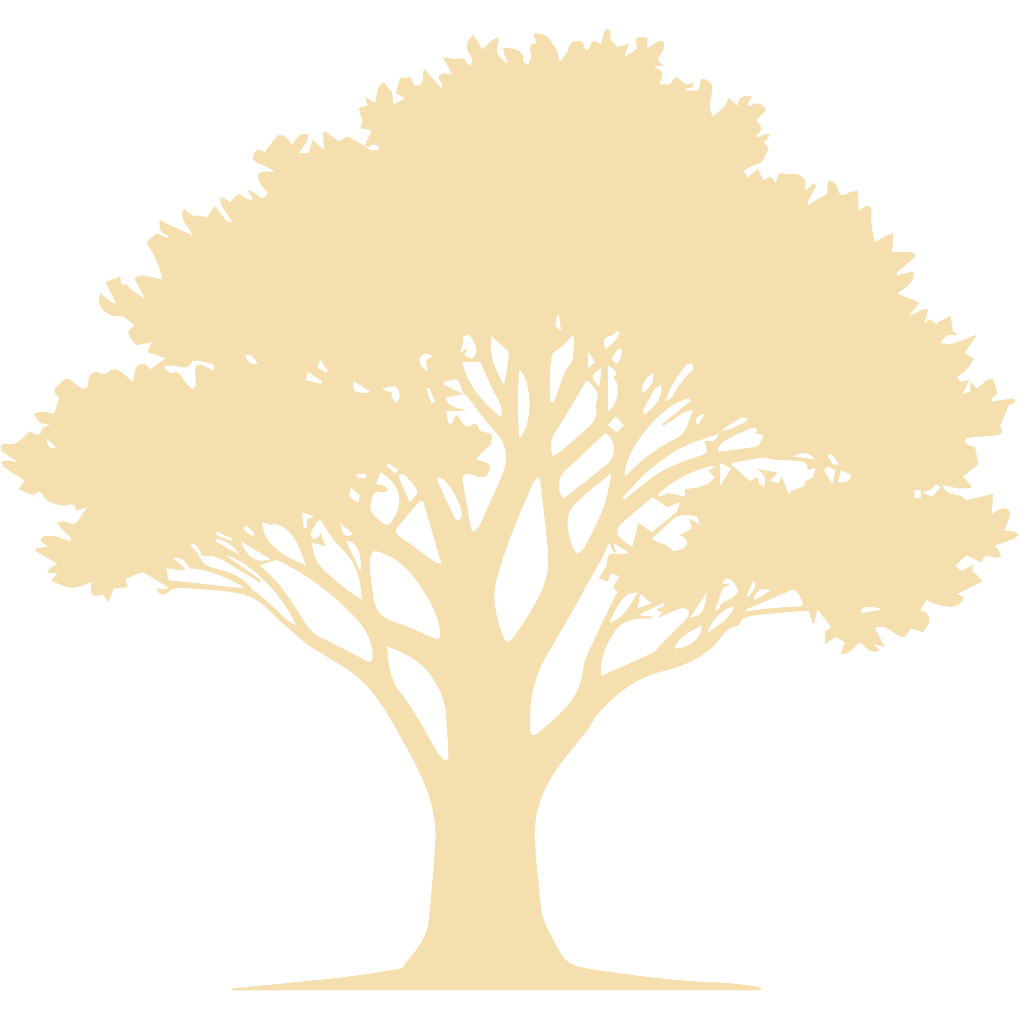 Icône d'un arbre Arganier, symbolisant le respect du savoir-faire artisanal traditionnel et une production durable.
